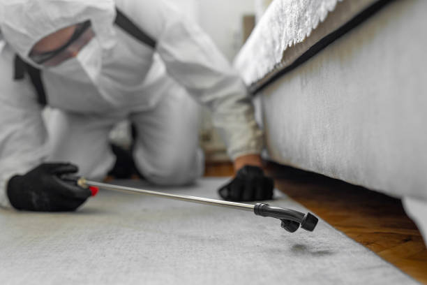 Professional Bed Bug Control technician working in Graham, NC