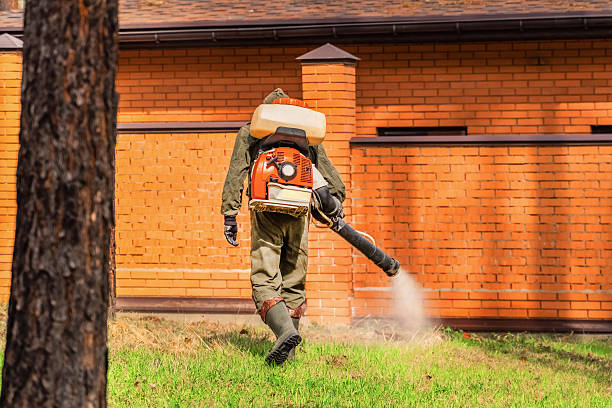 Top rated local Bed Bug Control specialists in Graham, NC